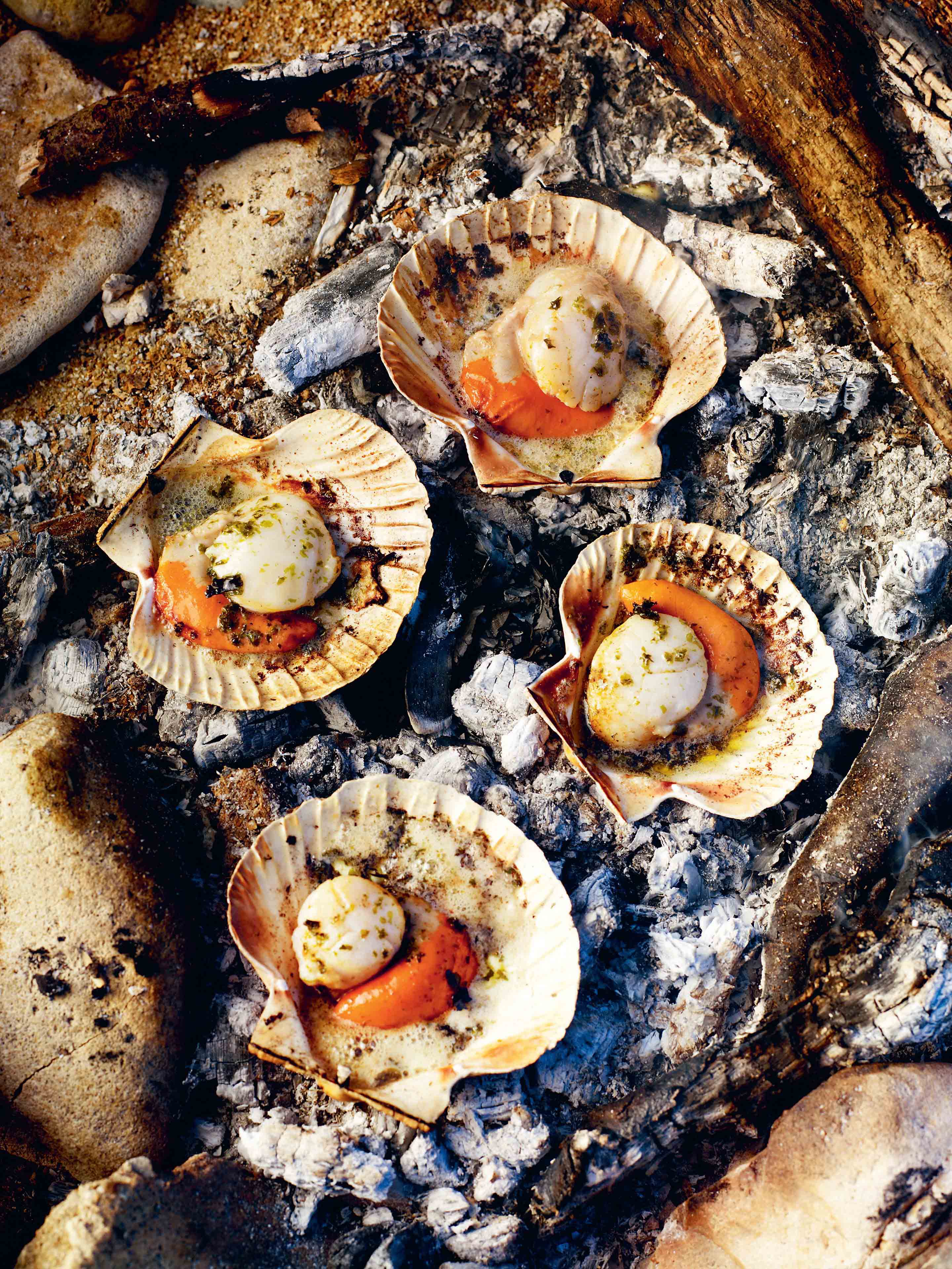 Scallops cooked in fire embers with seaweed butter