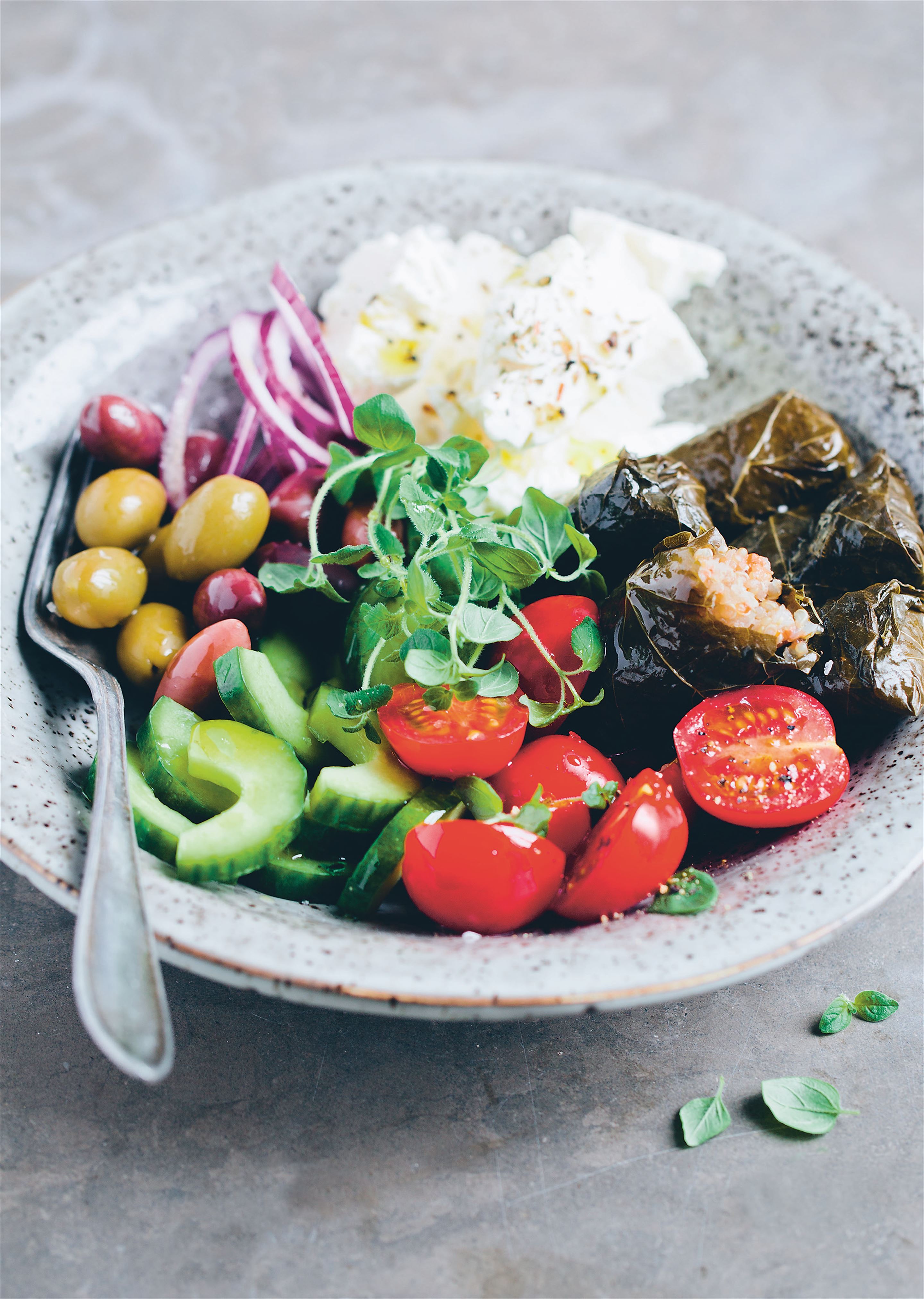 Quinoa dolmades with Greek salad