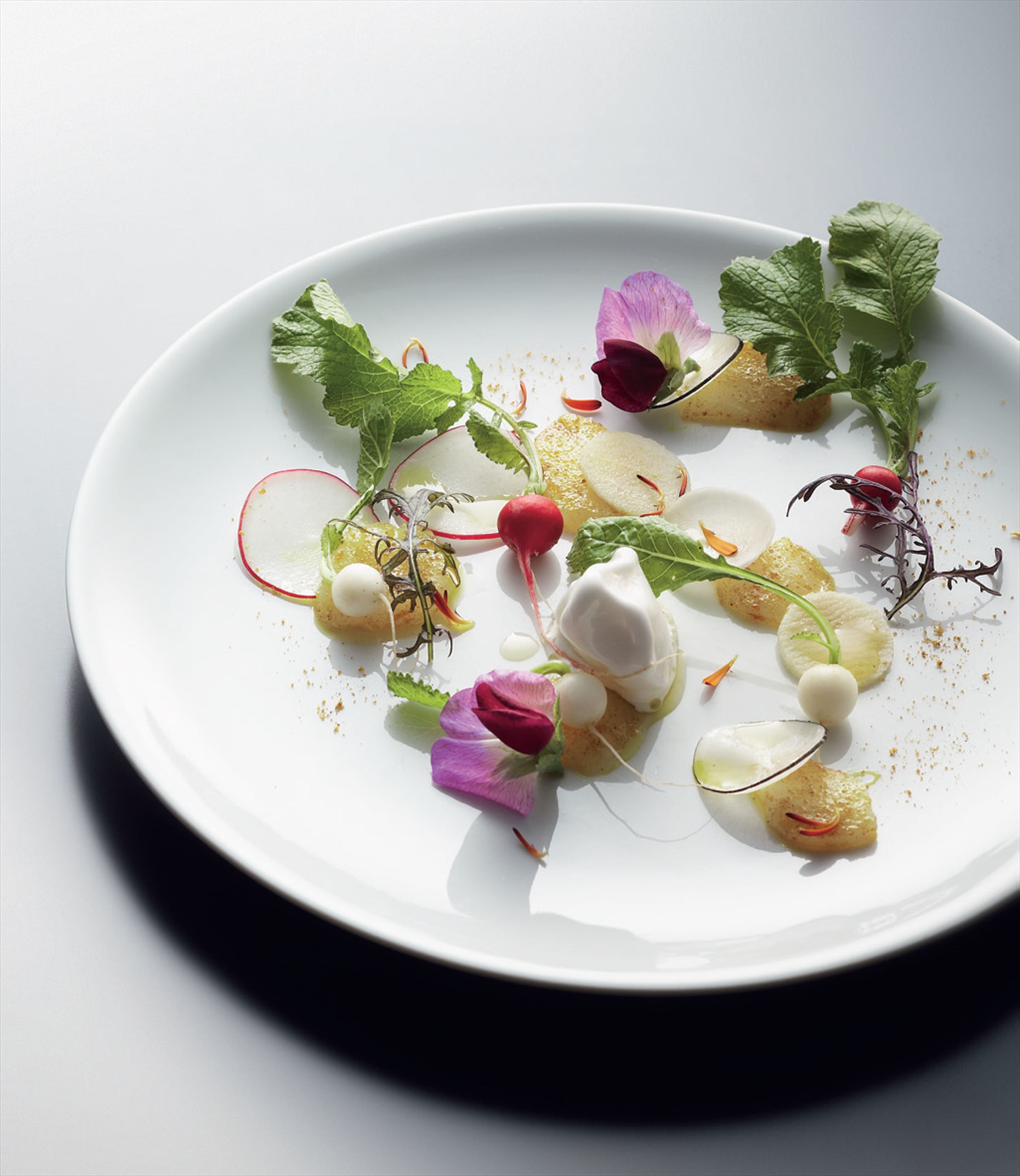 Spring bay scallops with vadouvan, radish, turnip and apple