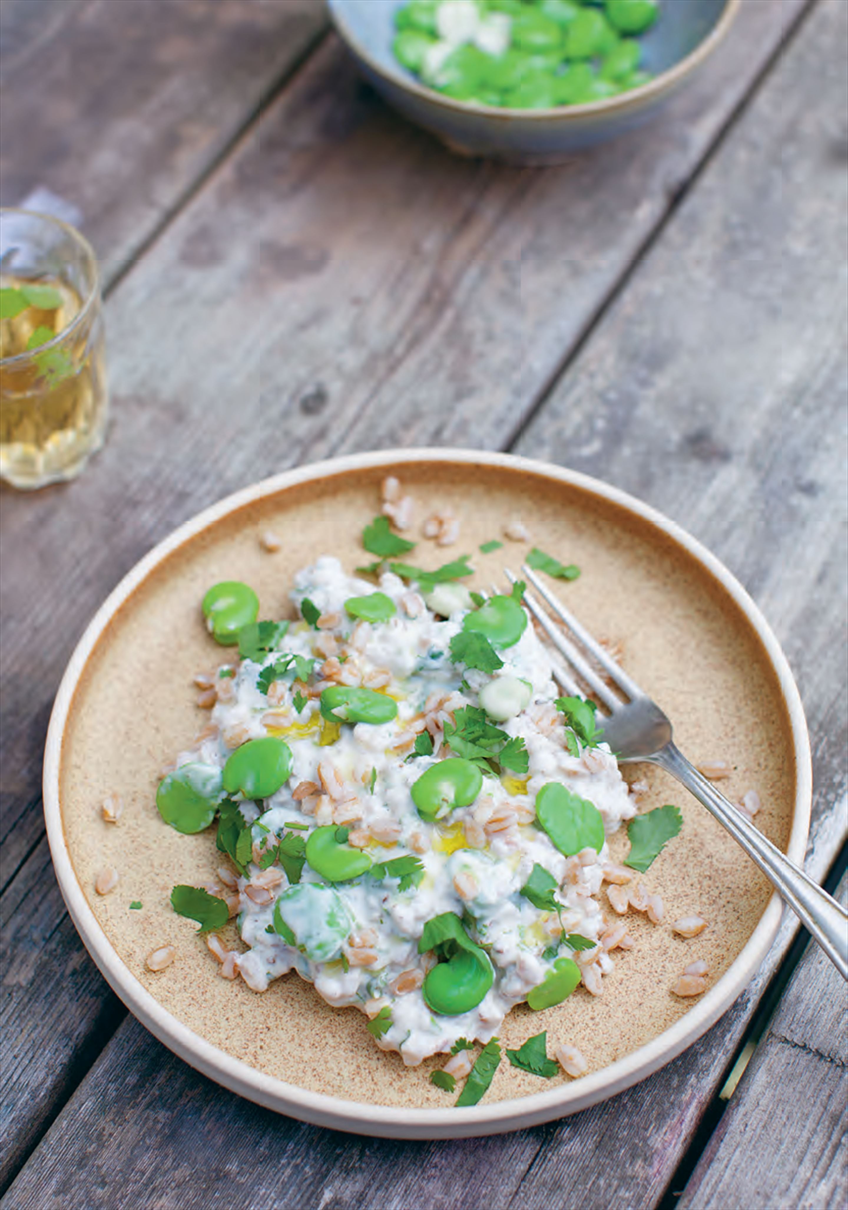 Wheat grains with broad beans and tahini