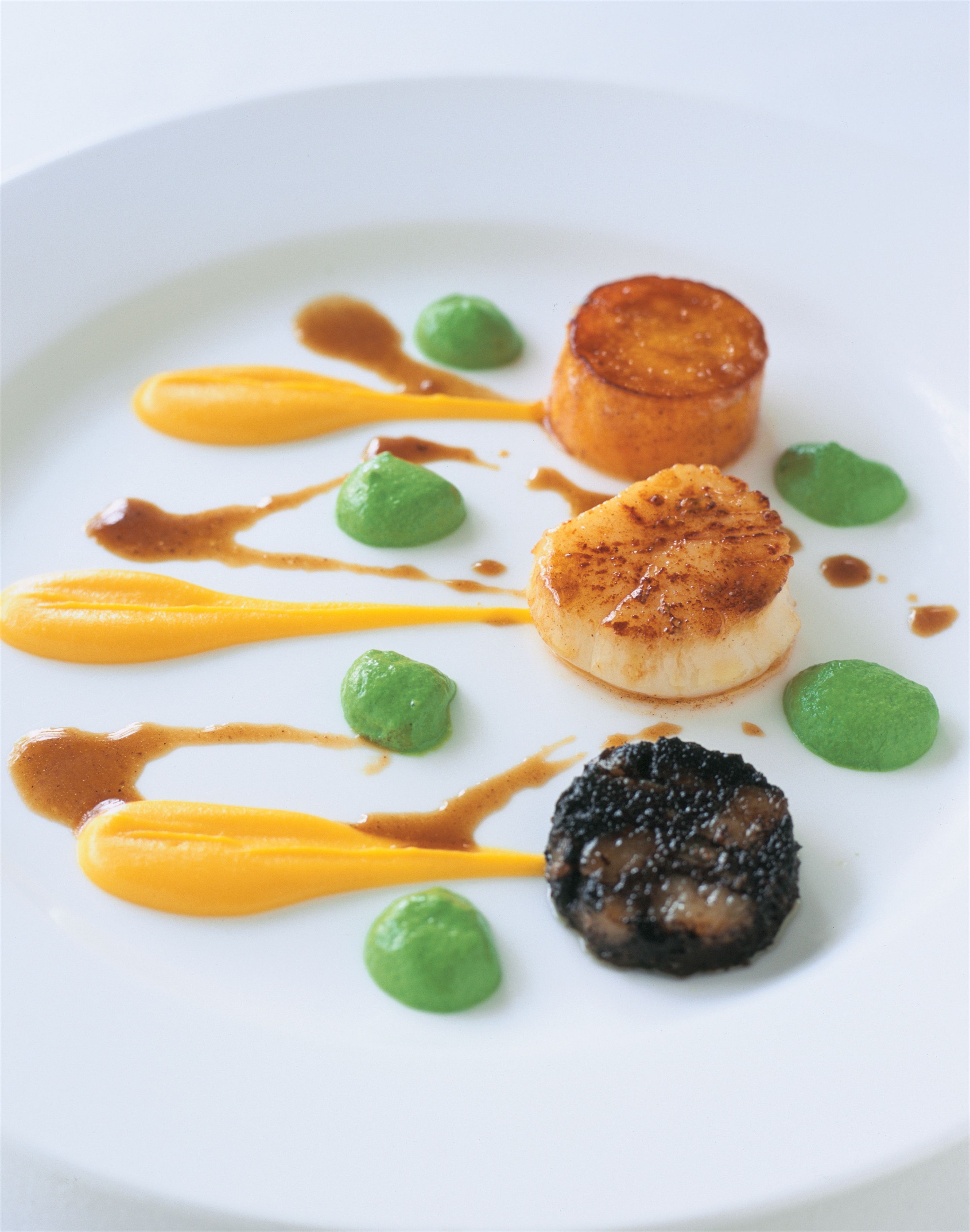 Caramelised boudin noir, scallops and butternut pumpkin with herb foam and sherry jus