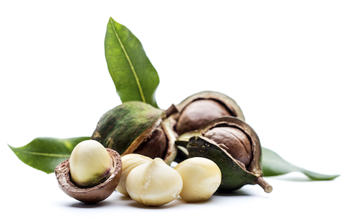Macadamias