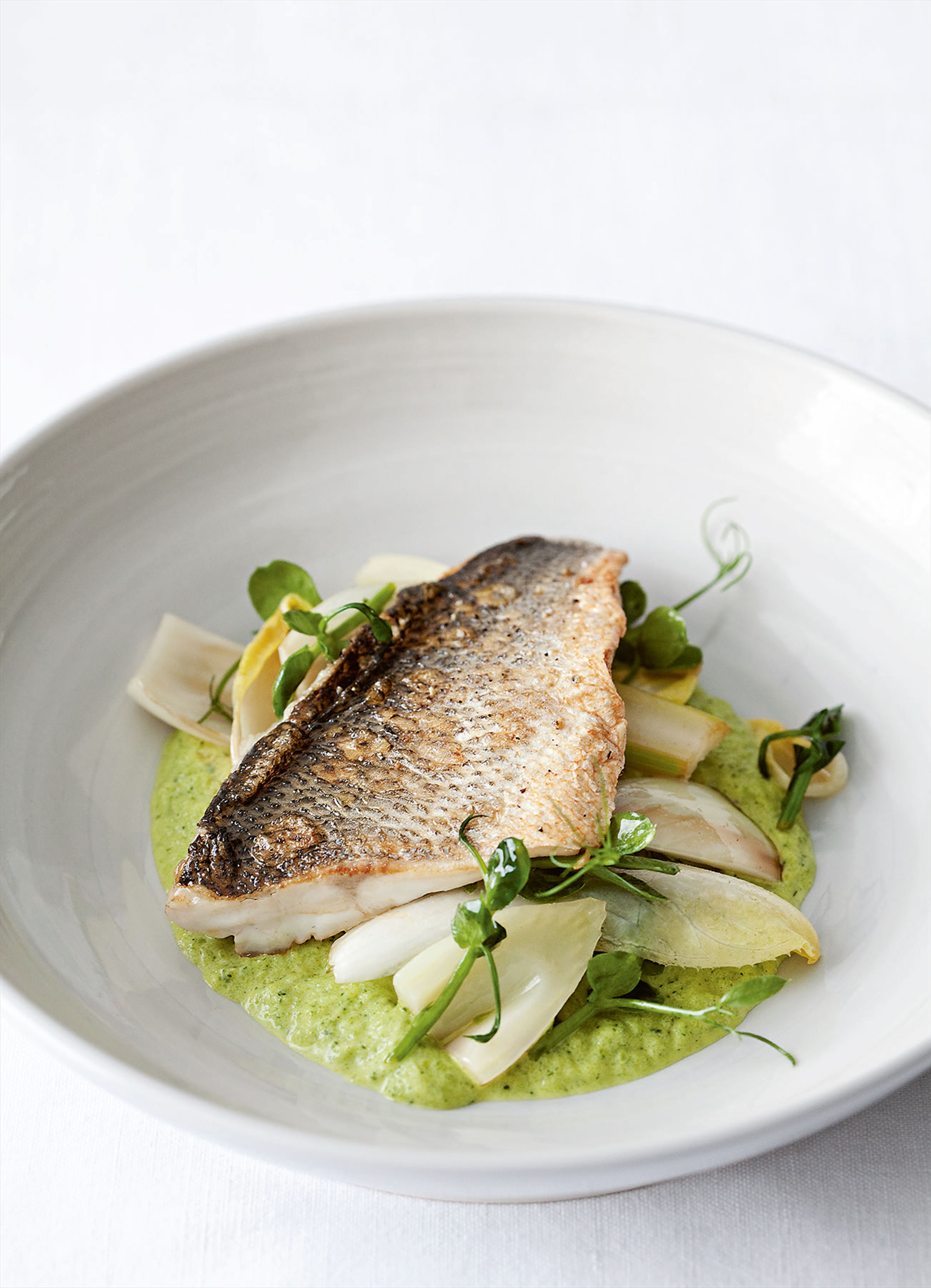 Sea bass with courgette sauce