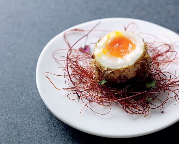 boiled egg