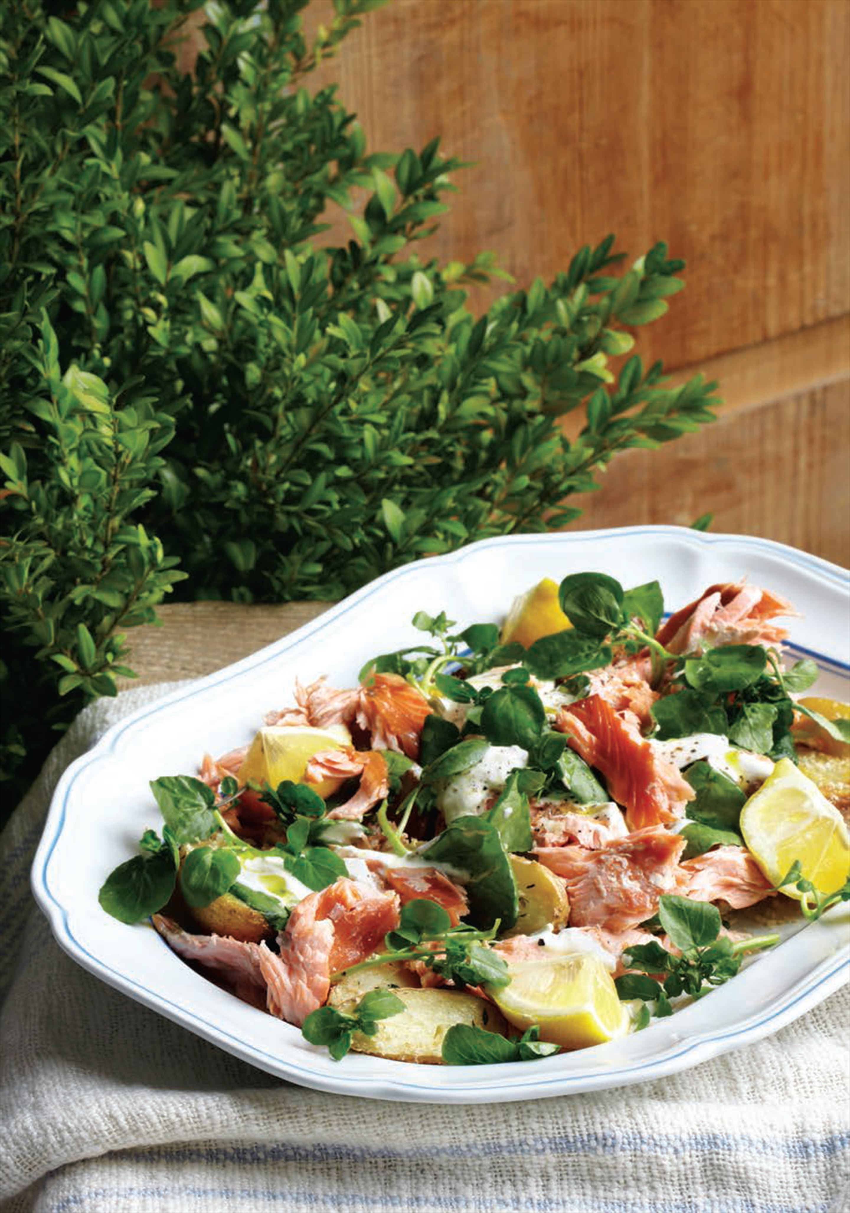 Summer salad